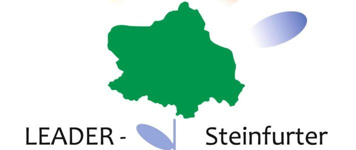 Logo Leader Steinfurt