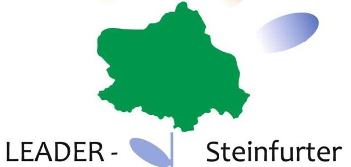 Logo Leader Steinfurt